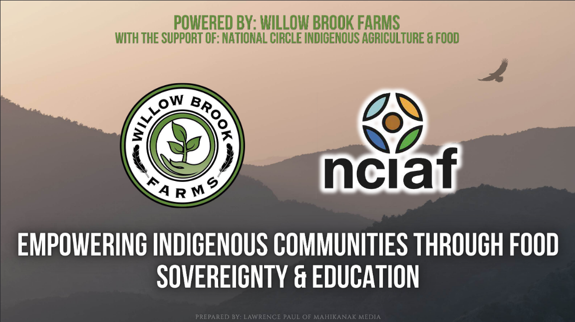 Screenshot 2025-05-29 224029