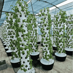 12 Tower Micro Farm-Complete set up