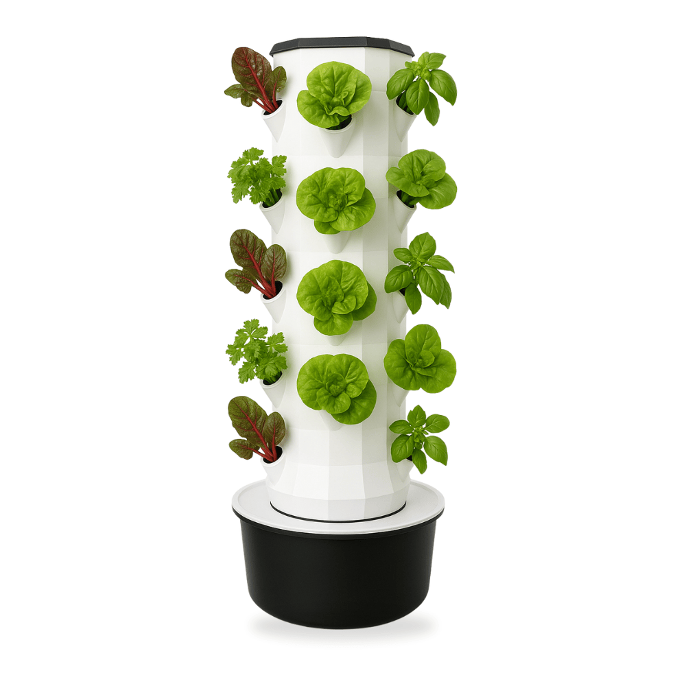 Reclaiming Food Sovereignty