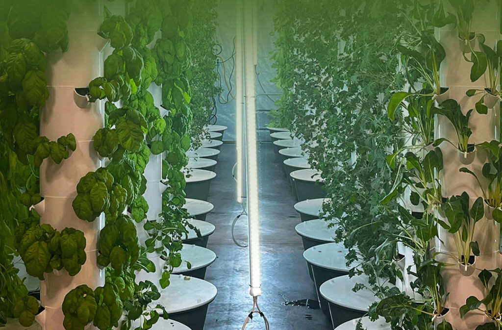 Indigenous Food Sovereignty in Canada