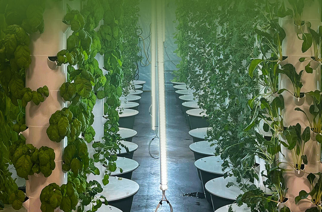 Indigenous Food Sovereignty in Canada