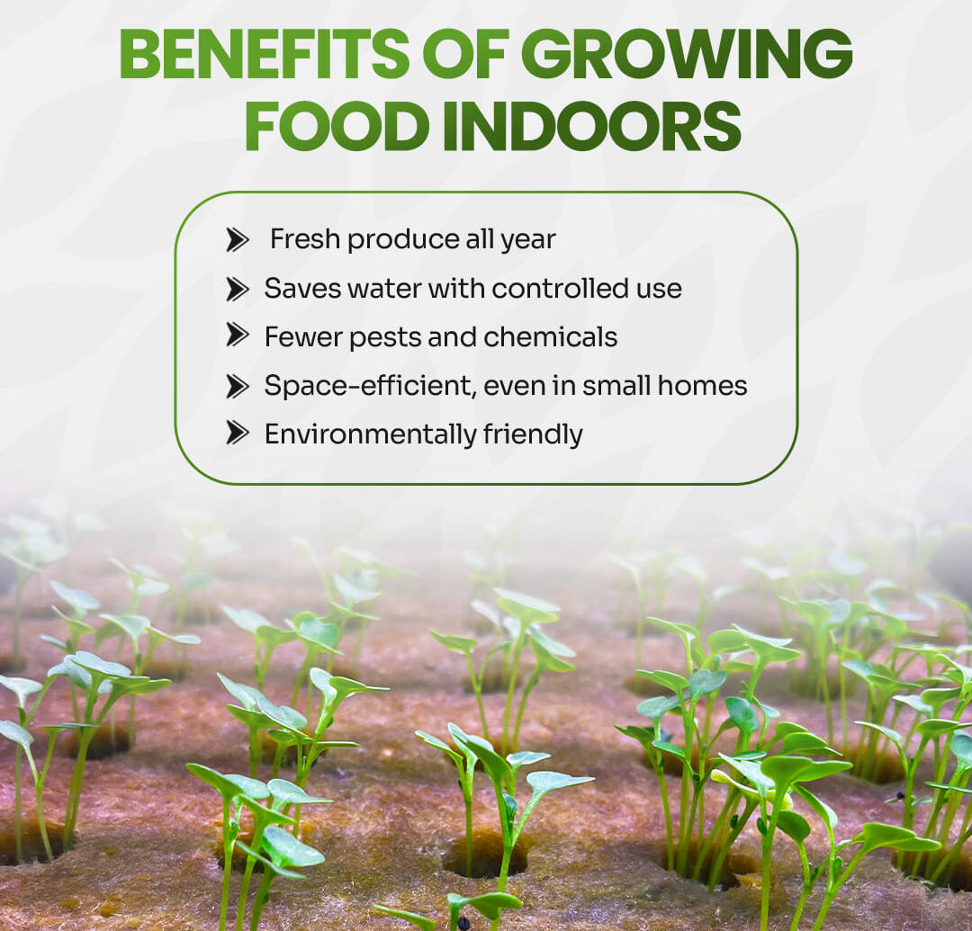 What Is an Aeroponic Tower?