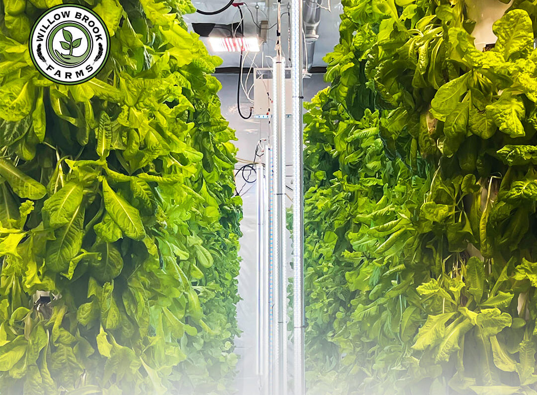 Commercial Hydroponic Systems Canada