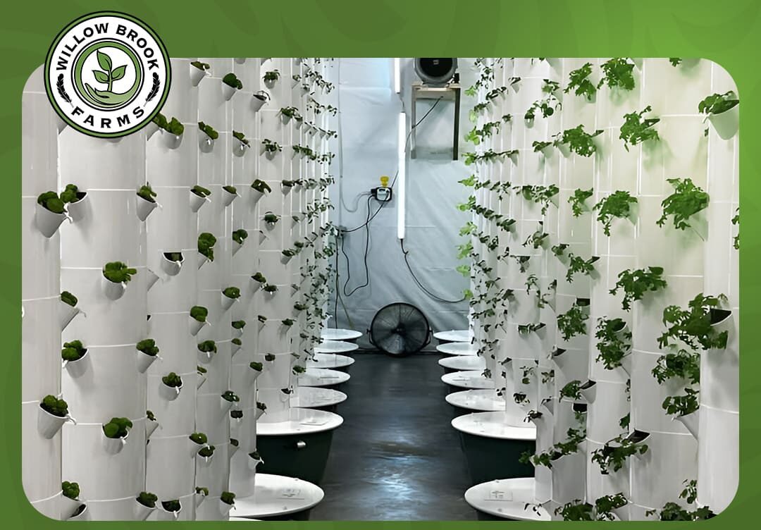 Commercial Hydroponic Systems Canada