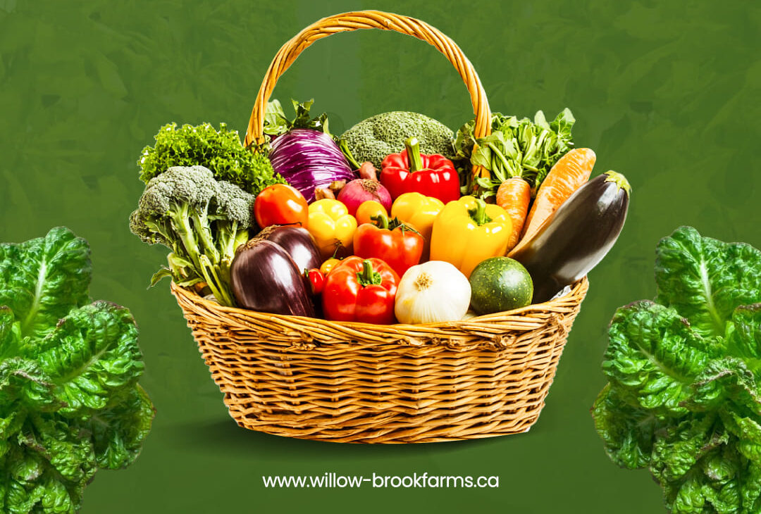 Indigenous Food Sovereignty in Canada