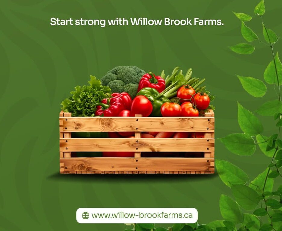 Aeroponic towers put that control back in local hands.