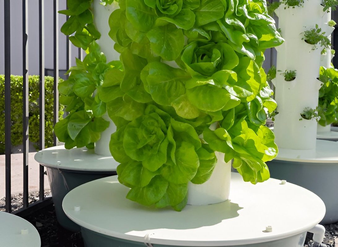 Hydroponic Grow Tower