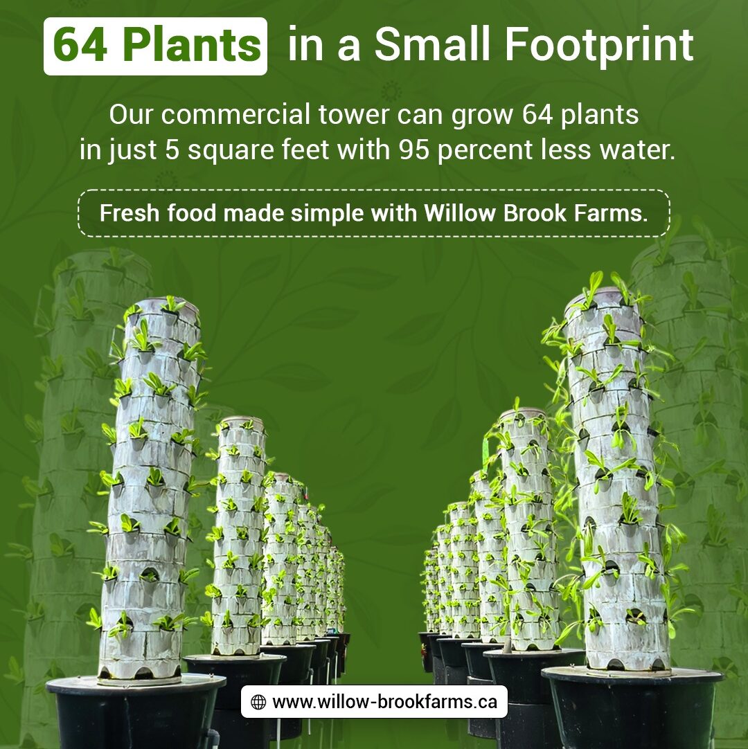 Commercial Hydroponics